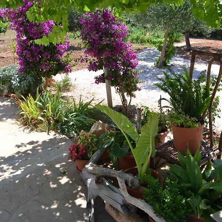 La Casa Bianca Di Panzió 4*