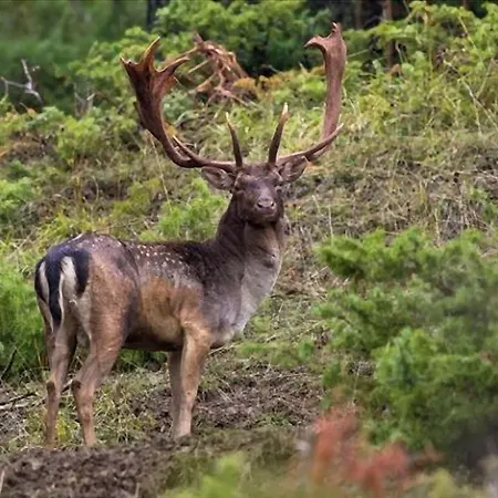ベッド・アンド・ブレックファスト La Casa Bianca Di