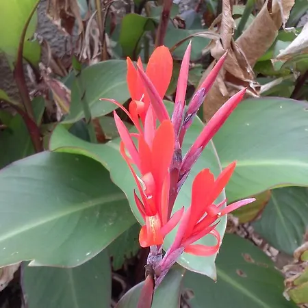 La Casa Bianca Di ポルト・コンテ