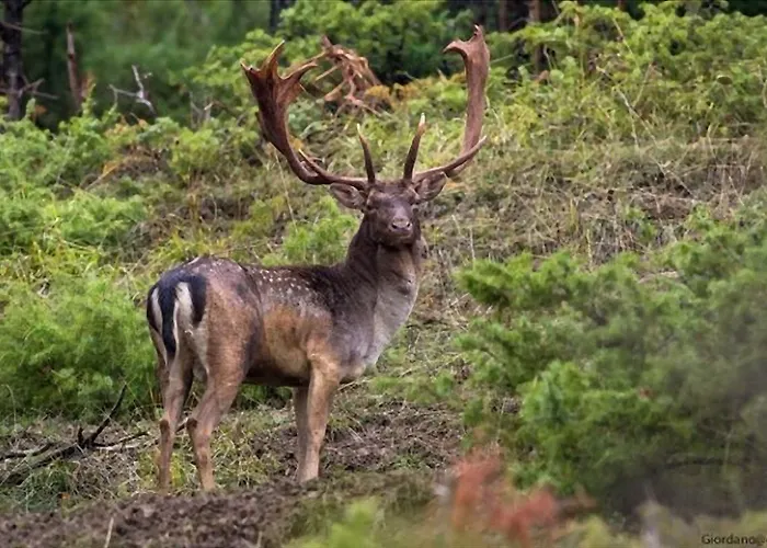 Bed & Breakfast La Casa Bianca Di