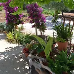 La Casa Bianca Di Couette-café 4*