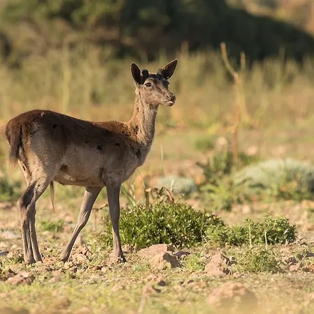 La Casa Bianca Di Bed and Breakfast